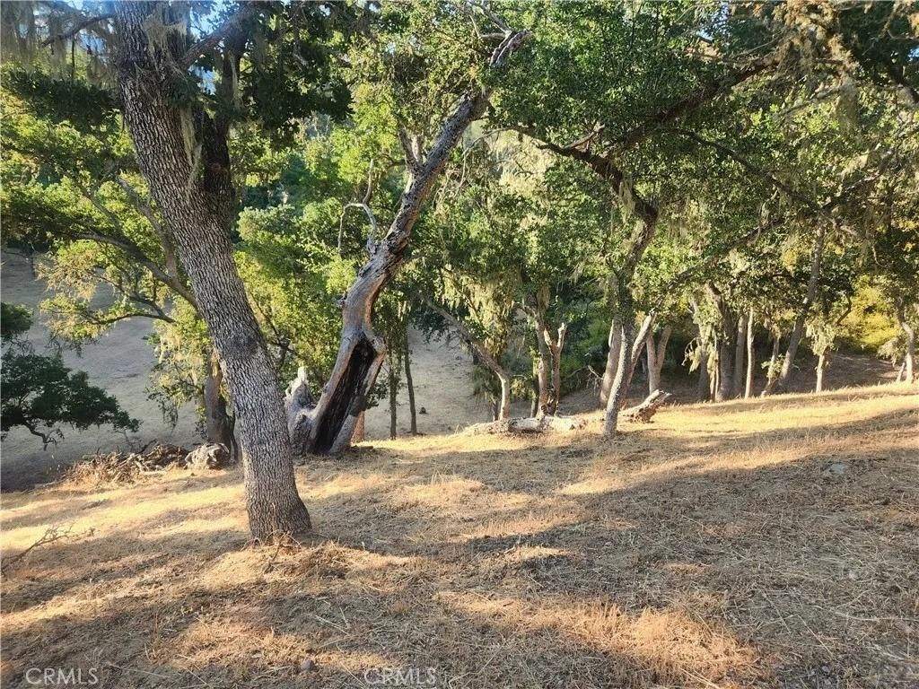 MLS #NS24232299 image #0