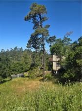 MLS #NS25099504 image #0