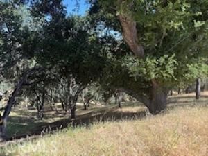 MLS #NS25113549 image #0