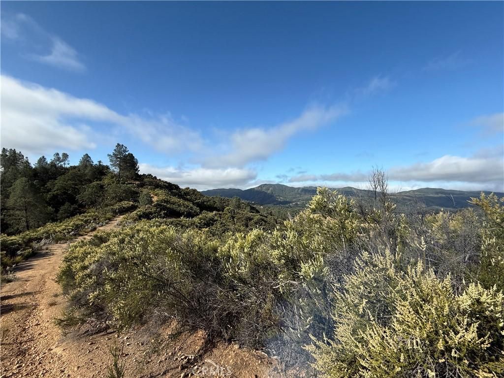 MLS #NS25122845 image #0