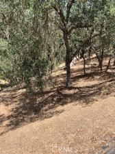 2668 Pine Ridge RD Bradley CA 93426 | MLS #NS25141437 5 MLS #NS25141437 image #0