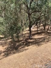 MLS #NS25141437 image #0