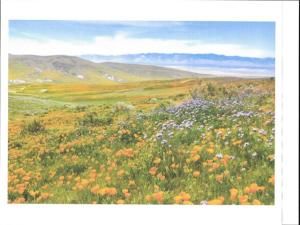 MLS #NS25161115 image #0