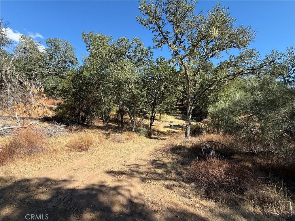 MLS #NS25216128 image #0