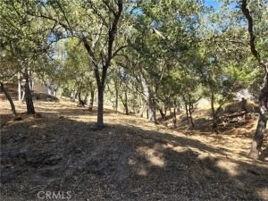 MLS #NS25224080 image #0