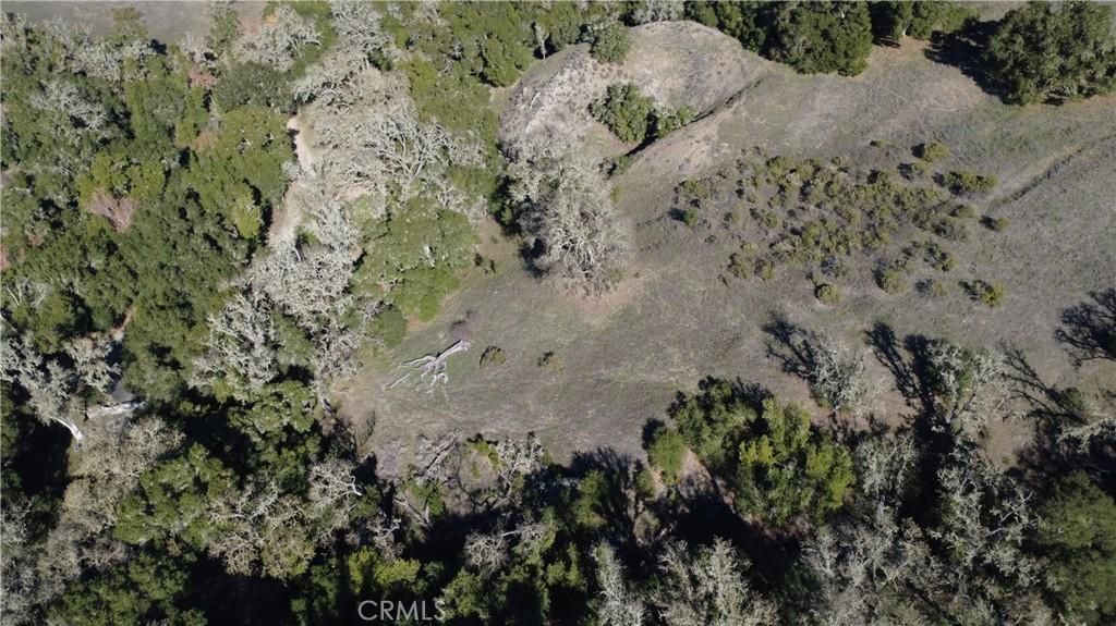 MLS #NS25273520 image #0