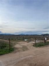 MLS #NS26000666 image #0