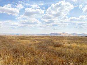 MLS #NS26120673 image #0