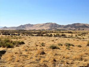 MLS #NS26154931 image #0