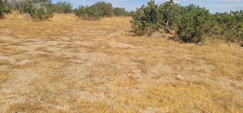 MLS #OC23151864 image #0