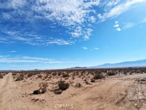 broker reciprocity