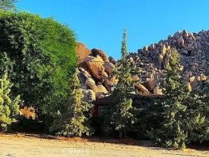 66058 Foothill Drive Joshua Tree CA 92252 | MLS #OC23216688 41 MLS #OC23216688 image #0