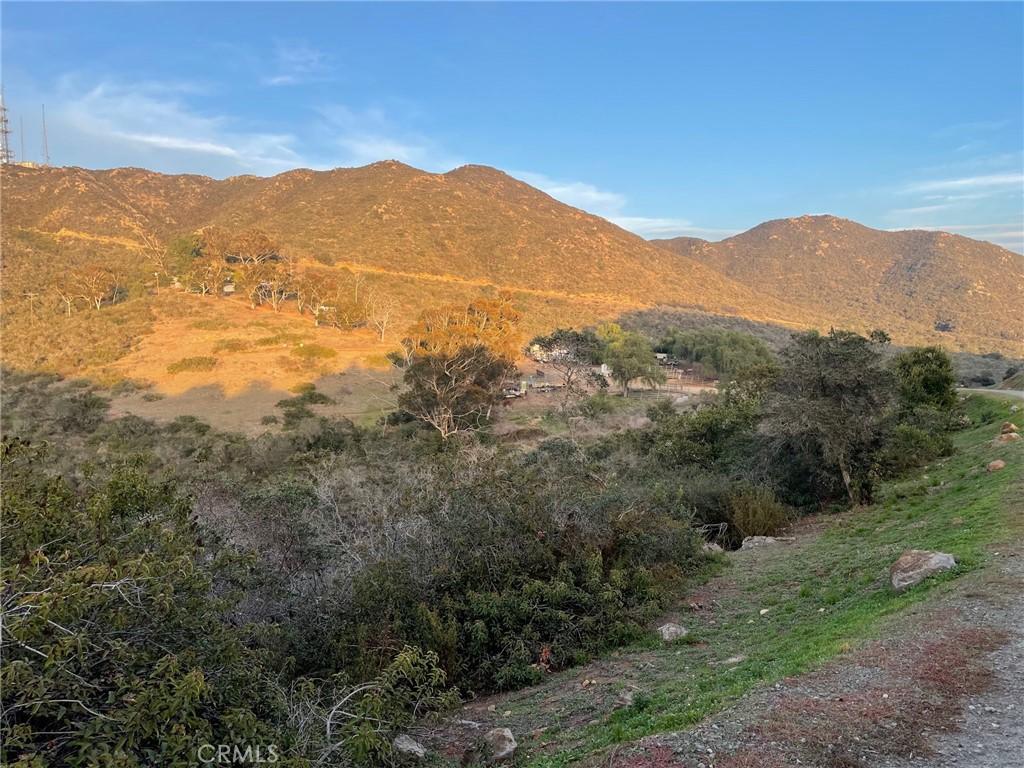 MLS #OC24049548 image #0