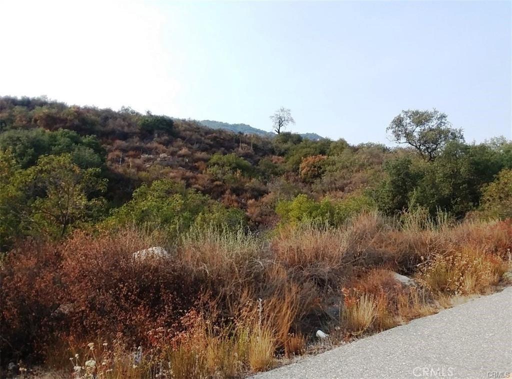 MLS #OC24090015 image #0