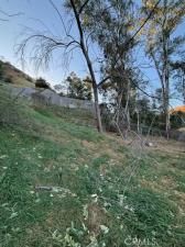 MLS #OC24151540 image #0