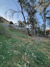MLS #OC24151540 image #0