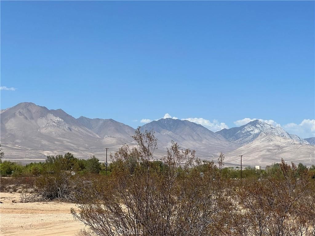 MLS #OC24166559 image #0