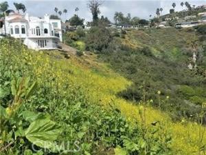 MLS #OC24171772 image #0