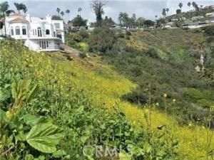 MLS #OC24173816 image #0
