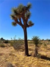 MLS #OC24174508 img 0