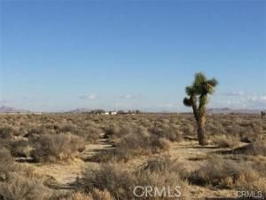 MLS #OC24222314 image #0