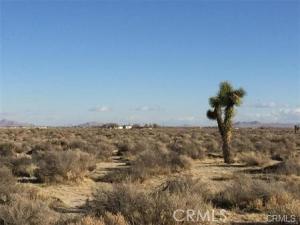 MLS #OC24222314 image #0