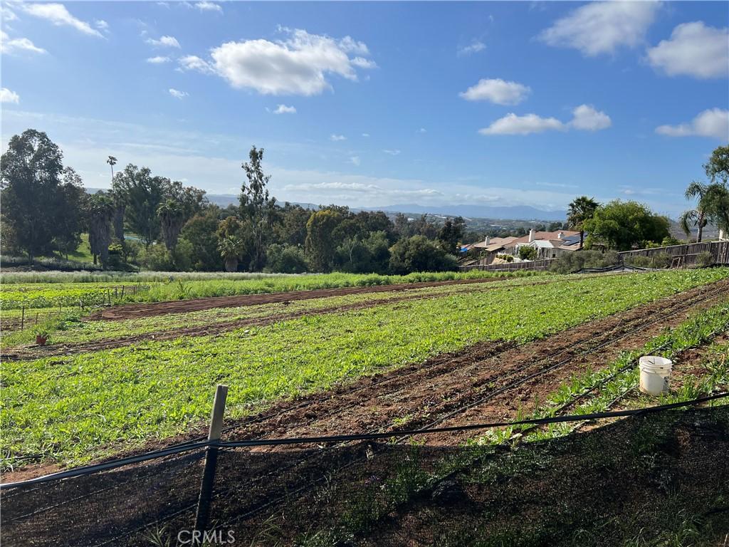 MLS #OC24236533 image #0