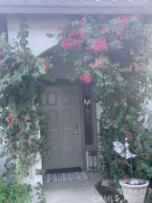 MLS #OC24238539 image #0