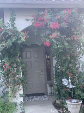 MLS #OC24238539 image #0