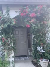 MLS #OC24238539 img 0