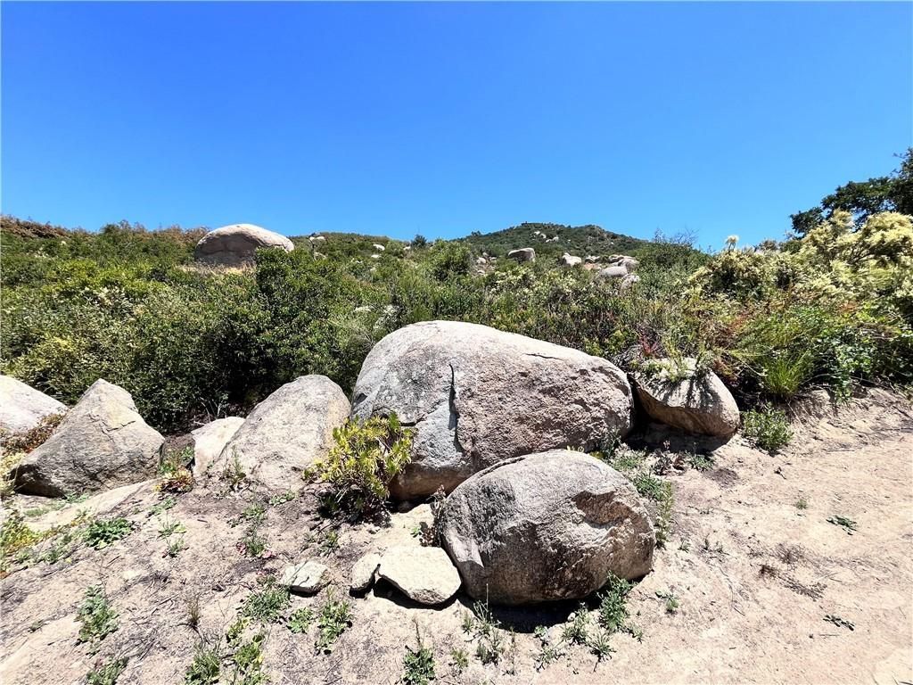 MLS #OC24251734 image #0