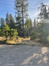 6172 Shad Way Pollock Pines CA 95726 | MLS #OC25003544 5 MLS #OC25003544 image #0