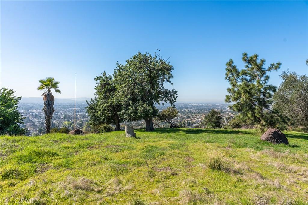 MLS #OC25040336 image #0