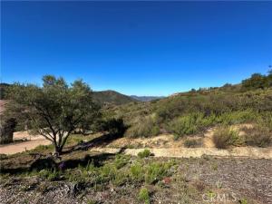 MLS #OC25068955 image #0