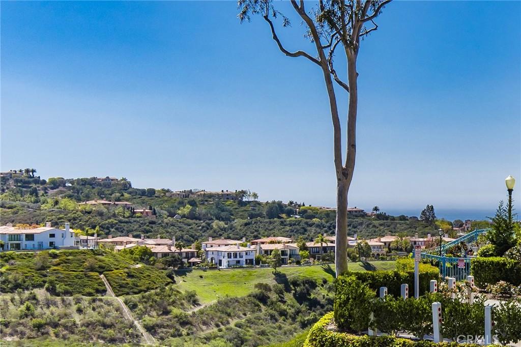 MLS #OC25077033 image #0