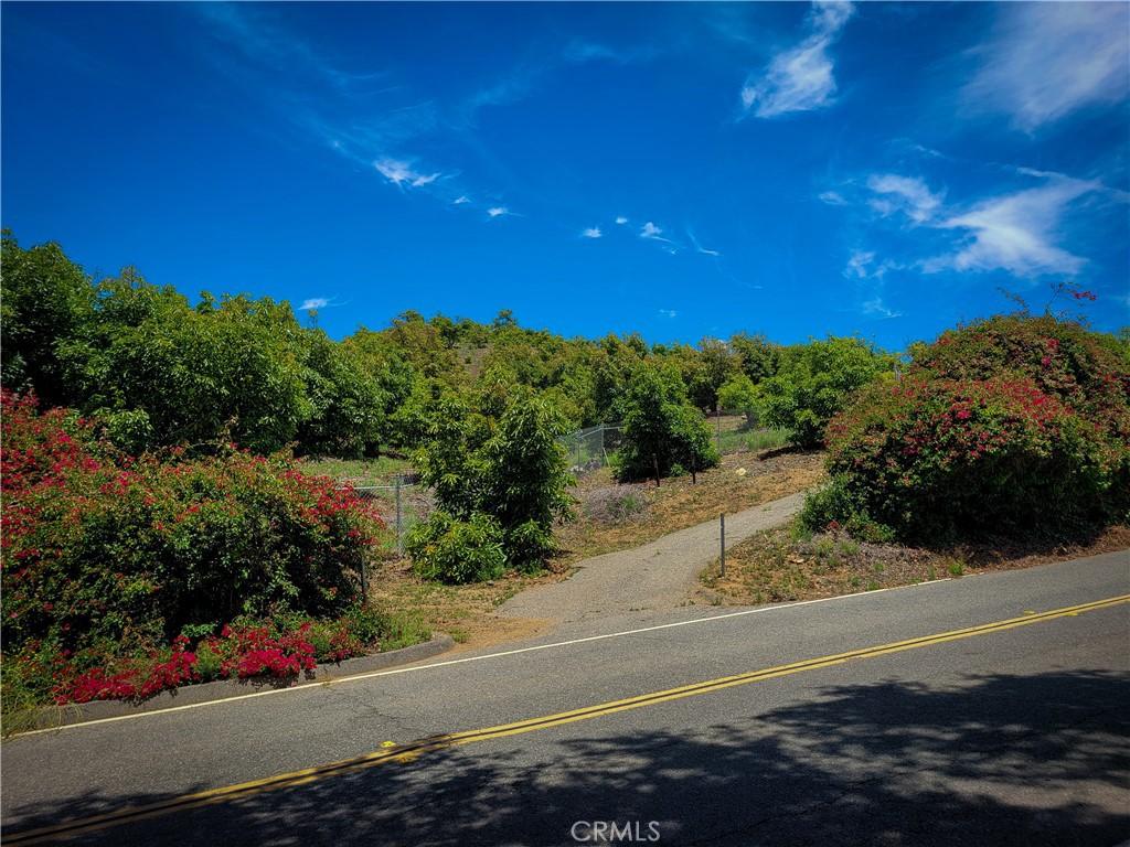 MLS #OC25136363 image #0