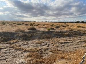 MLS #OC25151945 image #0