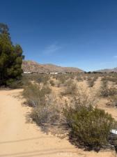 MLS #OC25162948 image #0