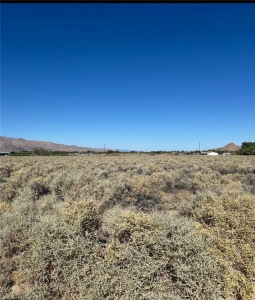 Mesquite Springs Lot 2 29 Palms CA 92277 | MLS #OC25165285 45 MLS #OC25165285 image #0