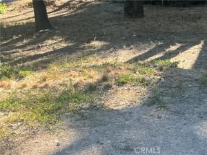 MLS #OC25165557 image #0