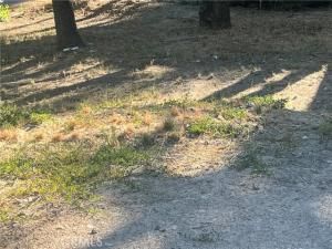 MLS #OC25165557 image #0