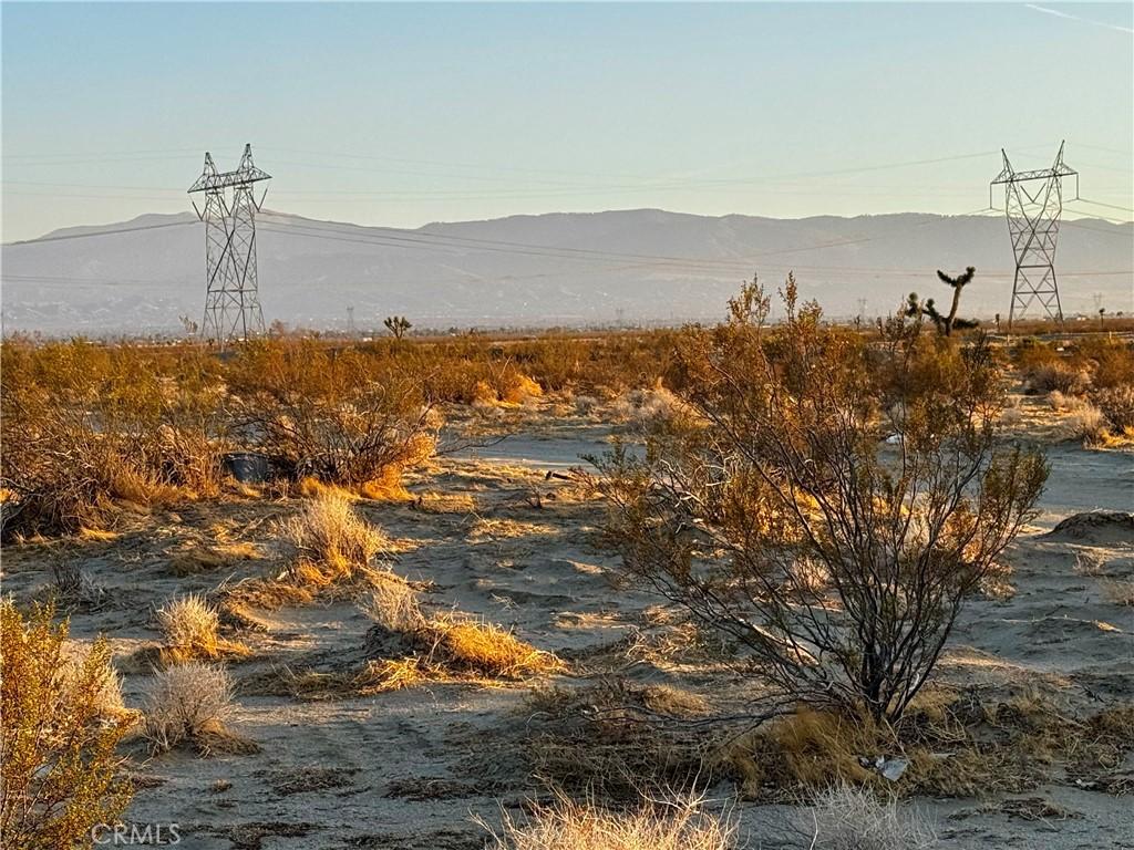 MLS #OC25179407 image #0