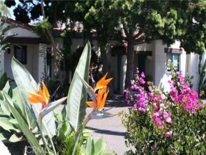 MLS #OC25182601 image #0