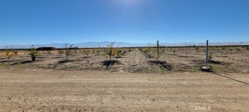 MLS #OC25190022 image #0