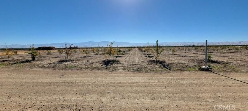 MLS #OC25190022 image #0