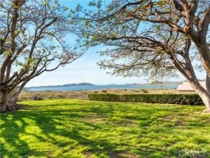 MLS #OC25190124 image #0