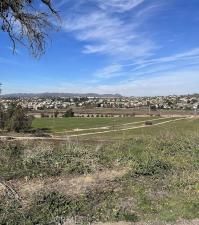 MLS #OC25198694 image #0