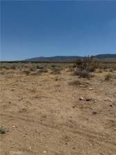 MLS #OC25204820 image #0