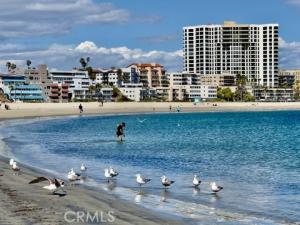 MLS #OC25222935 image #0