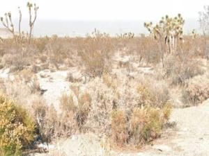 MLS #OC25225292 image #0